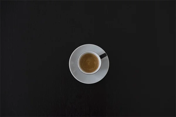 人工植物のメンタルヘルス効果と選び方！実体験からおすすめ6選も