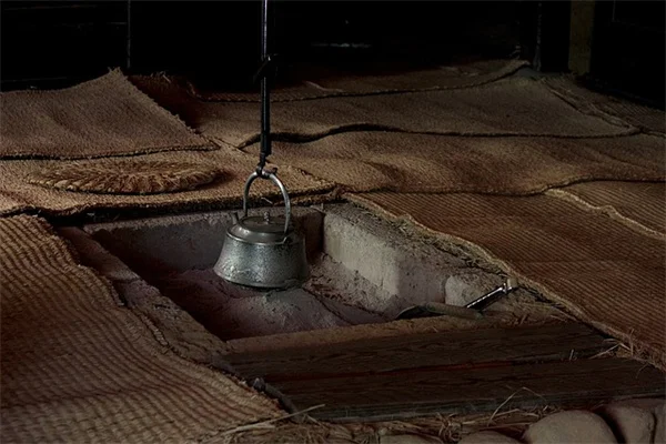 寒冷地でも育てられる無花果の実践的テクニック